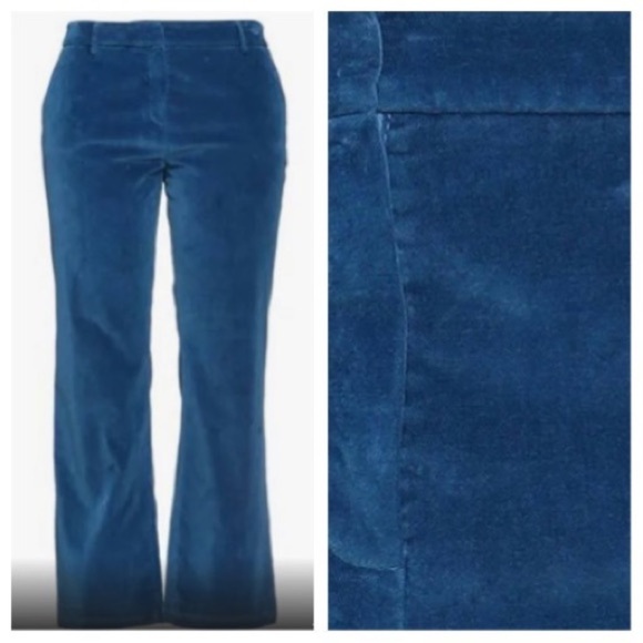 True Royal Blue Velvet Luxury Pants size 42 - Picture 1 of 8